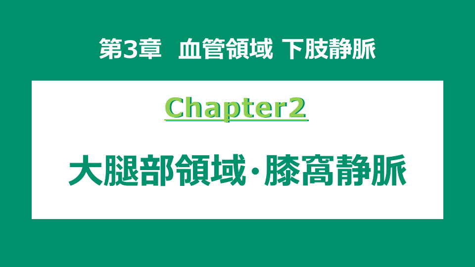 chapter2 大腿部領域・膝窩静脈